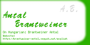 antal brantweiner business card